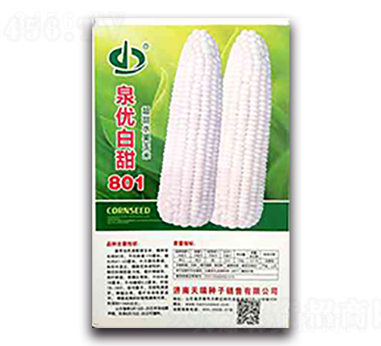 Ȫ������801-Ŵ���׷N��-����N��