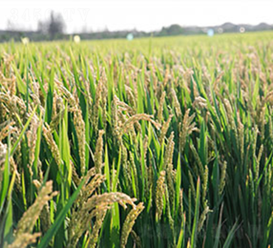 �Ͼ�5718-ˮ���N��-���r���S