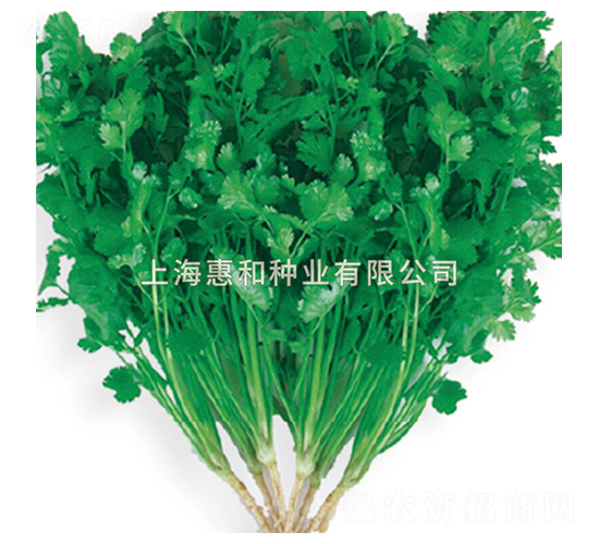 ����-��˷N��-�ݺͷN�I