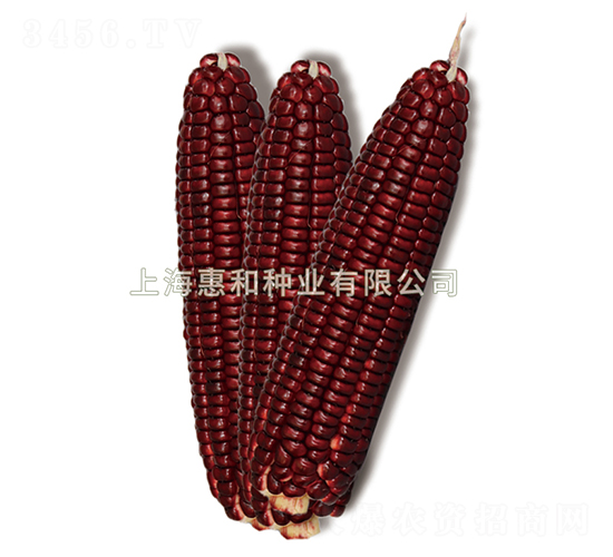 ���tŴ1̖-Ŵ���׷N��-�ݺͷN�I