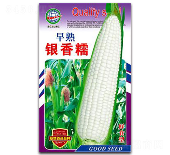 �����y��Ŵ-Ŵ���׷N��-����