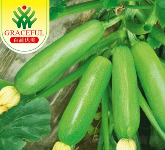 �̬�-�����J�N��-�����r�I