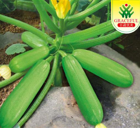 ������̖-�����J�N��-�����r�I