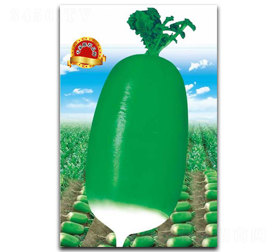 �G��-�}���N��-�����r�I