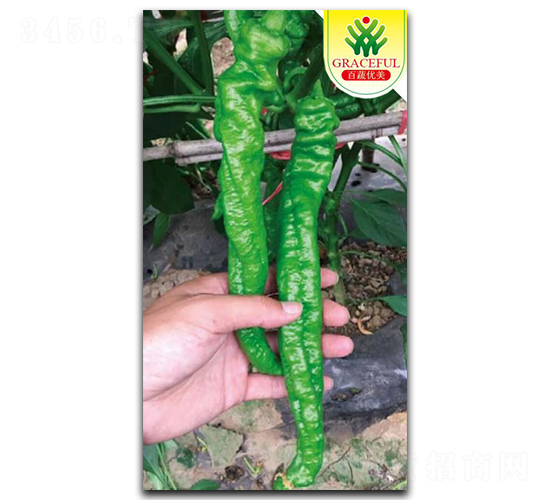 ���L����-�����N��-�����r�I