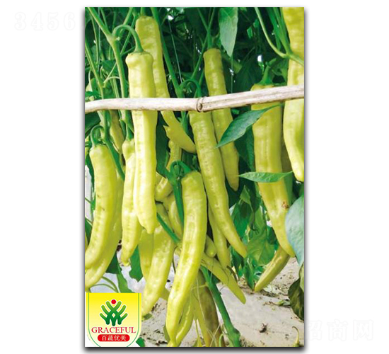 ��ϲ-�����N��-�����r�I