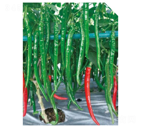 �n��-�����N��-�����r�I