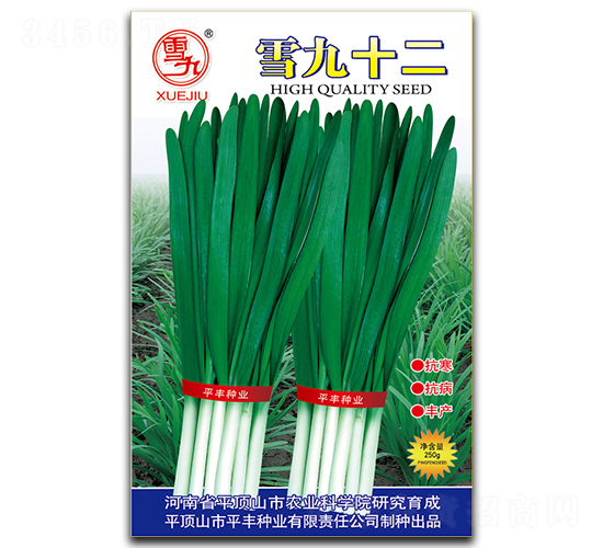 ѩ��ʮ��-�²˷N��-ƽ�S�N�I