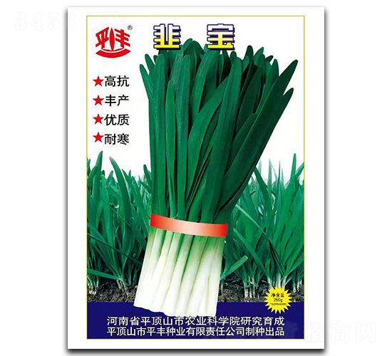 ��-�²˷N��-ƽ�S�N�I