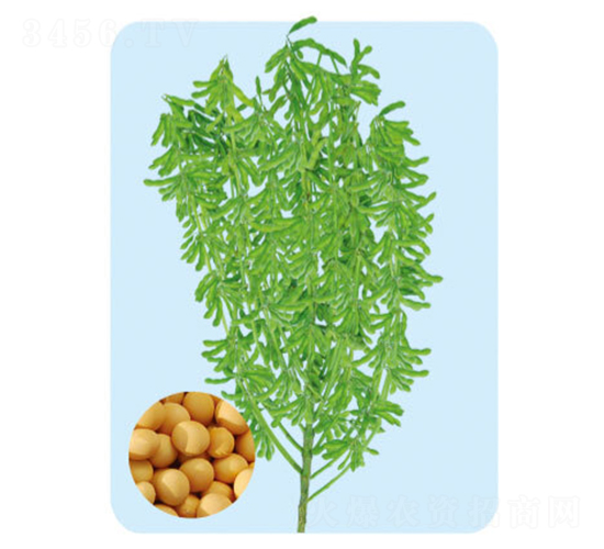 �F��69-�󶹷N��-���S�N�I