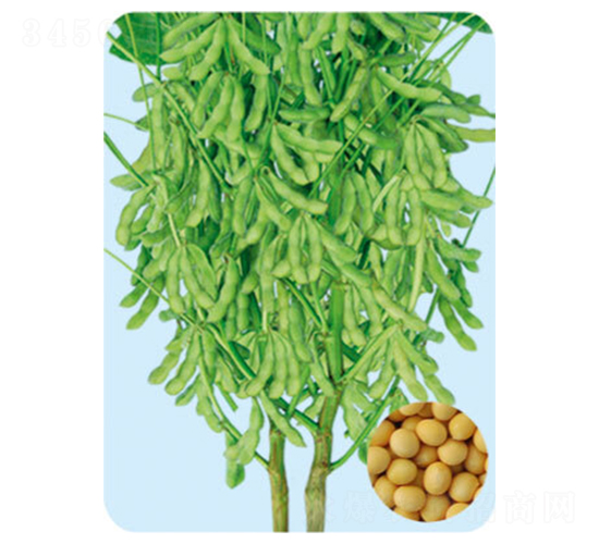 �|��38-�󶹷N��-���S�N�I