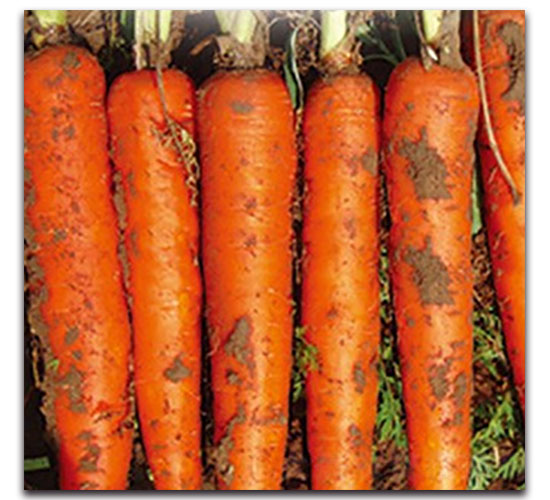 ���tһ̖-�}���N��-���ʵ�