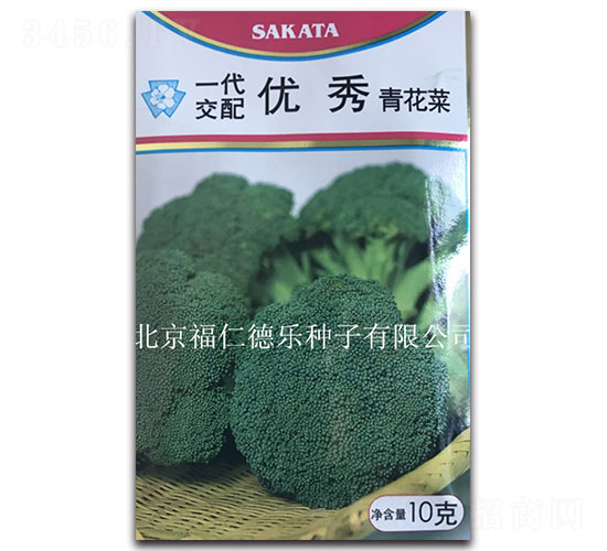 ����-���m���N��-���ʵ�