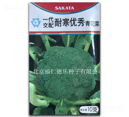 10g�ͺ�����-���m���N��-���ʵ�