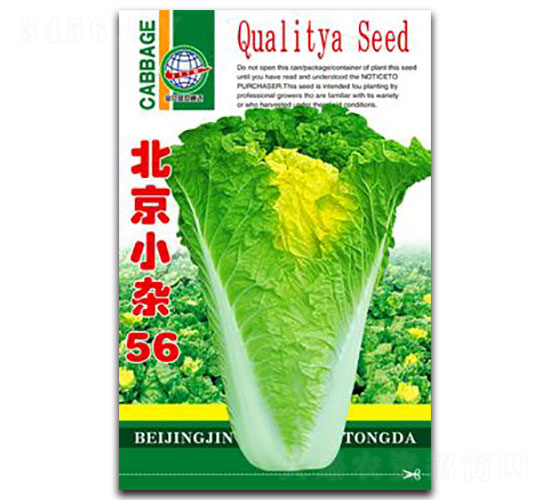 ����С�s56-�ײ˷N��-����