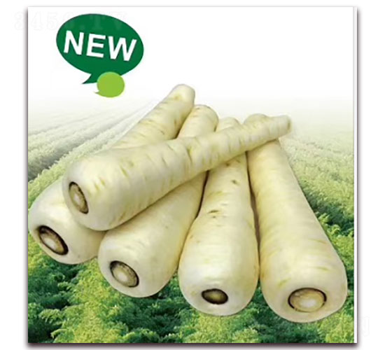 ����-�}���N��-�ȃ��_