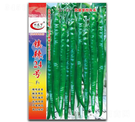 ���24̖-�����N��-��зN�I