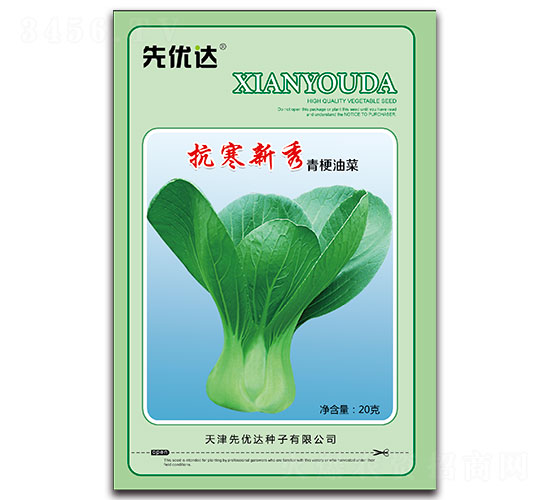 抗寒新秀-青梗油菜種子-先優達