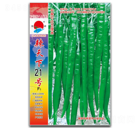 ������21̖-�����N��-��зN�I