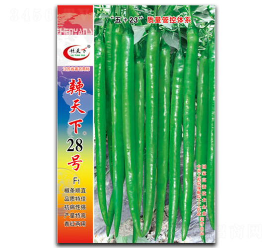 ������28̖(h��o)-�����N��-�(zh��n)�зN�I(y��)