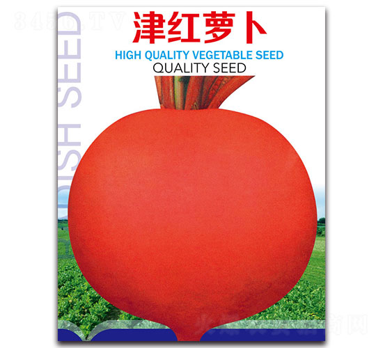 ��t�}��-�}���N��-�ȃ��_