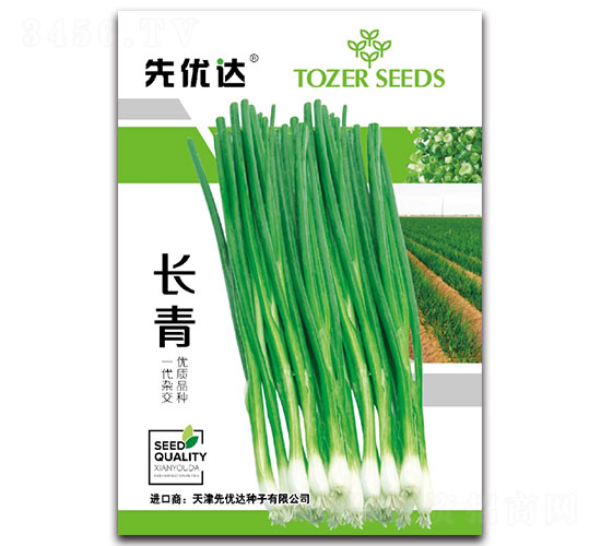 長青-小蔥種子-先優達