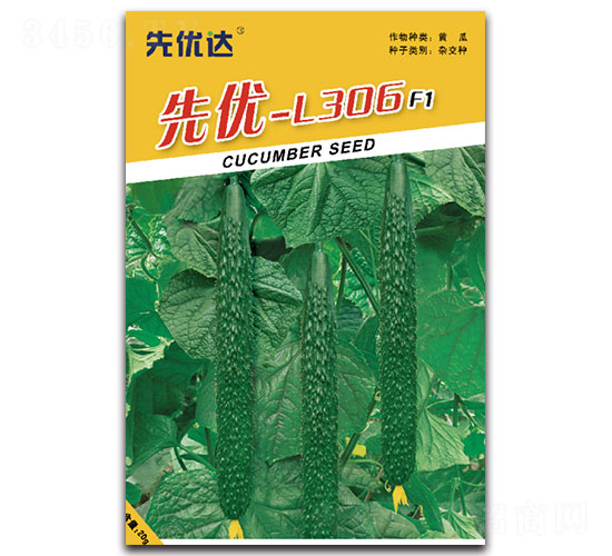 �ȃ�L-306-�S�ϷN��-�ȃ��_