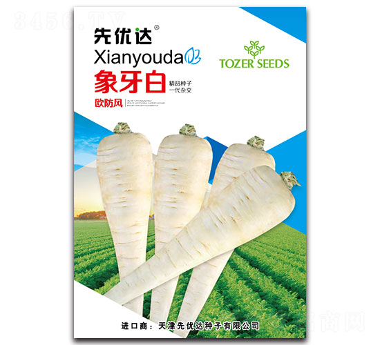 象牙白-蘿卜種子-先優達
