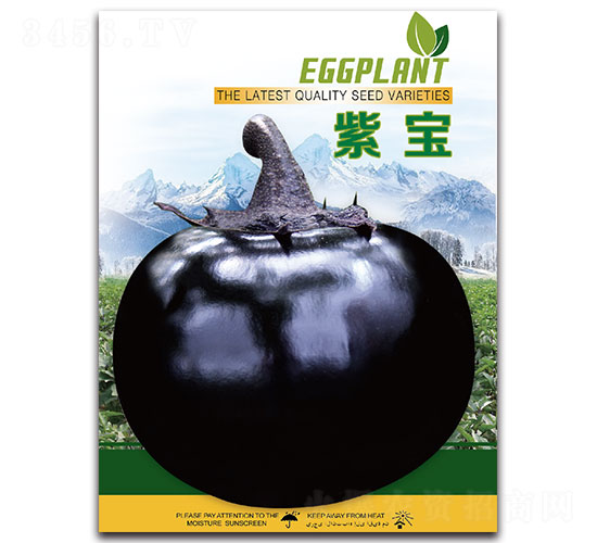 紫寶-茄子種子-先優達