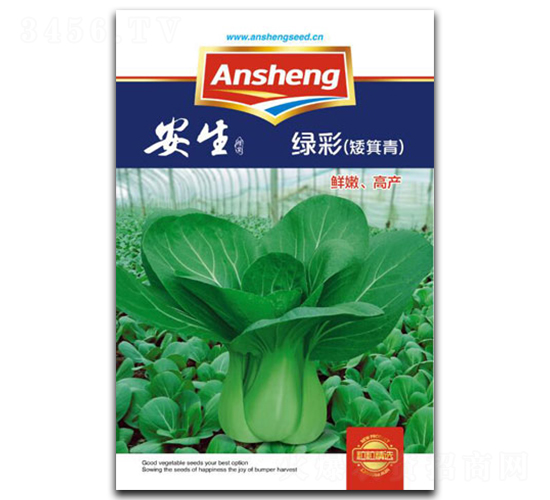 綠彩-青菜種子-安生