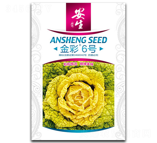 金彩6號-青菜種子-安生