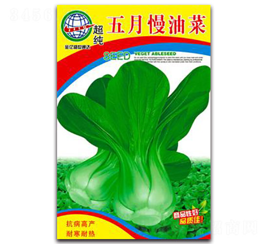 五月慢油菜-青梗菜種子-宏特
