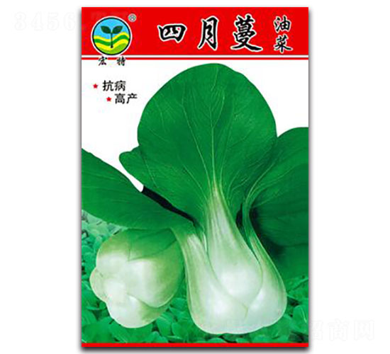 四月蔓-青梗菜種子-宏特