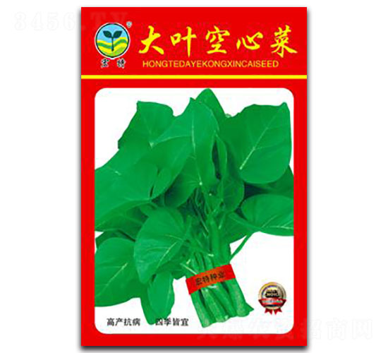 大葉空心菜-空心菜種子-宏特