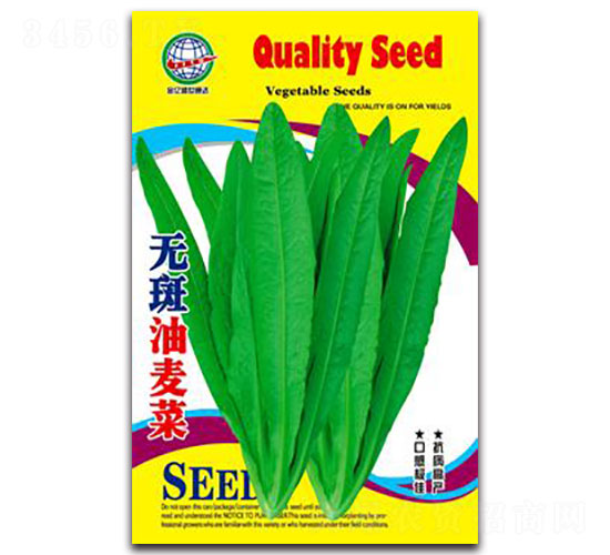 無斑油麥菜-油麥菜種子-宏特