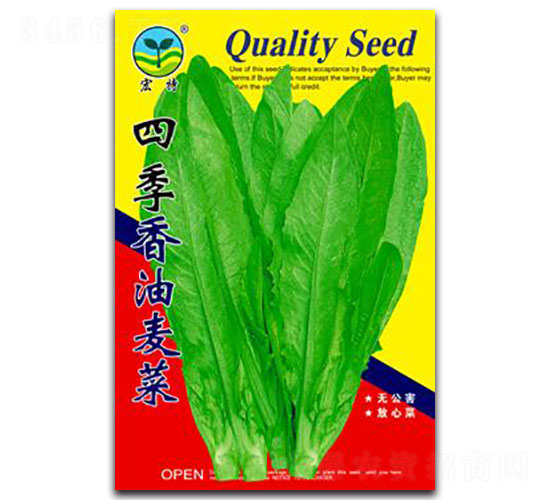 四季香油麥菜-油麥菜種子-宏特