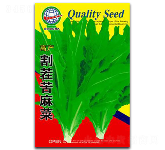 割茬苦麻菜菜-油麥菜種子-宏特