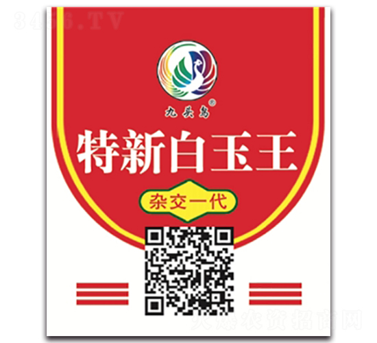 ���°�����-�}���N��-���^�B(ni��o)