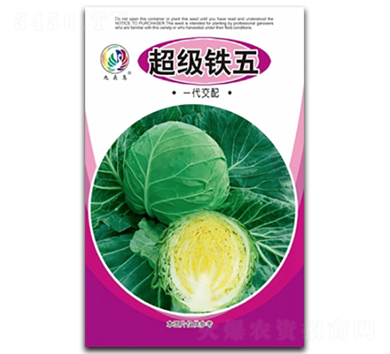 �����F��-���{�N��-���^�B