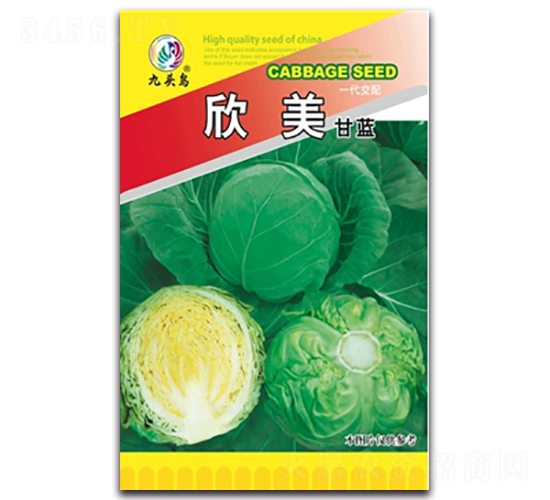 �������{(l��n)-���{(l��n)�N��-���^�B