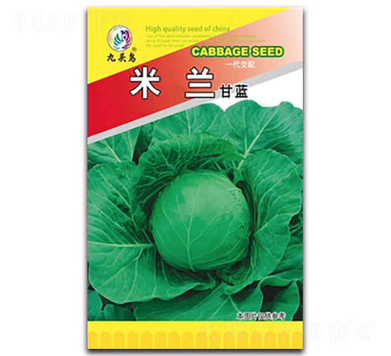 ���m���{-���{�N��-���^�B