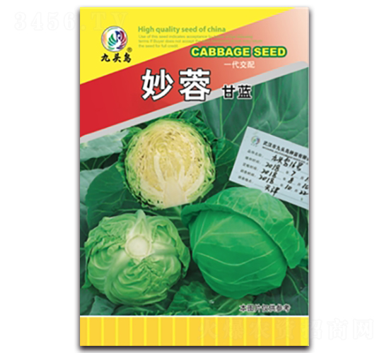 ���ظ��{-���{�N��-���^�B