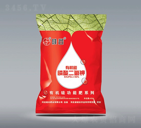 �ЙC����������-���