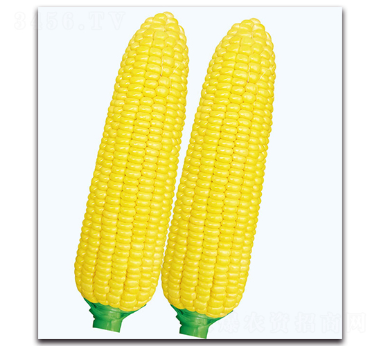 �A����1̖����-�����׷N��-�F������