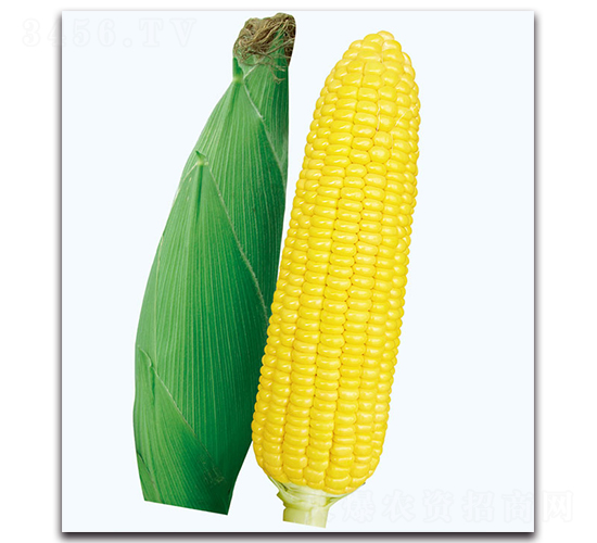 �A����2̖����-�����׷N��-�F������