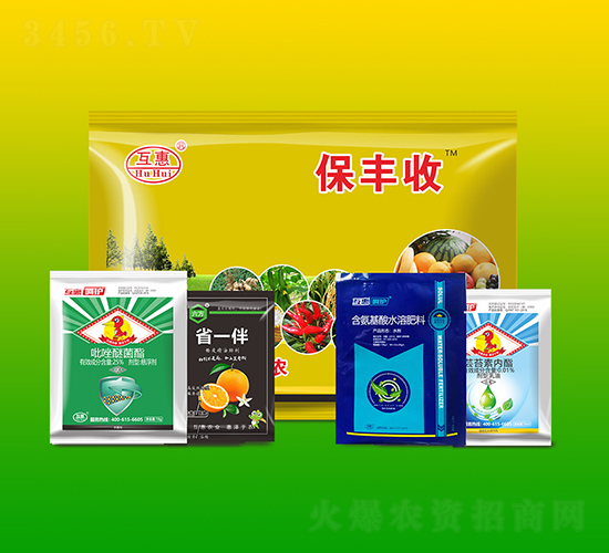 �I�B�����ײ�-���S��-����