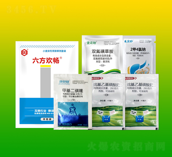 С����ó��݄����b��6��-�����g��-����