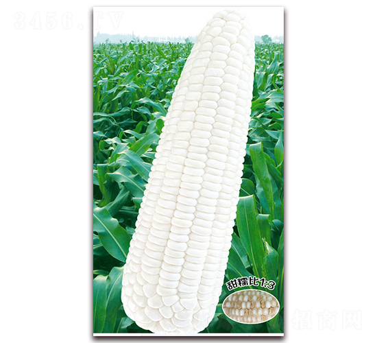 �fŴ188-Ŵ���׷N��-�A��N�I(y��)