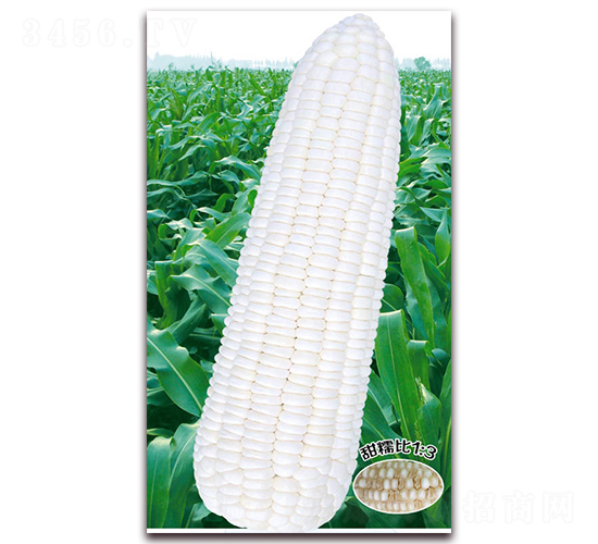 �fŴʮһ-Ŵ���׷N��-�A��N�I(y��)