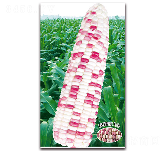 �f����Ŵ118-Ŵ���׷N��-�A��N�I